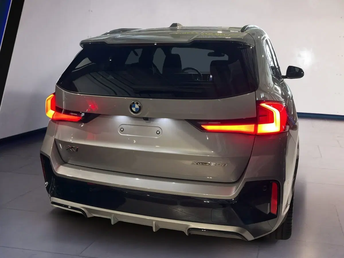BMW X1 usata a Torino (4)