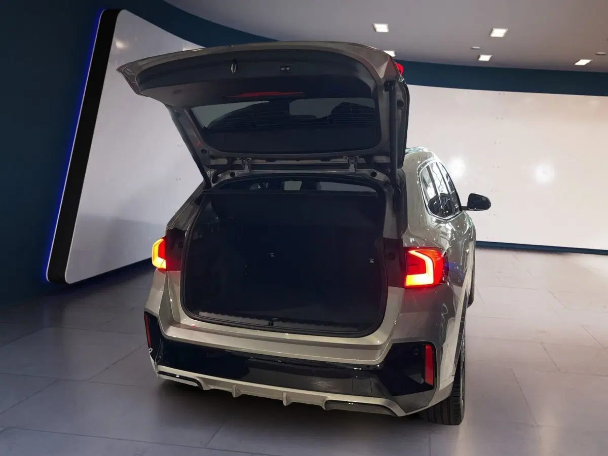 BMW X1 usata a Torino (5)