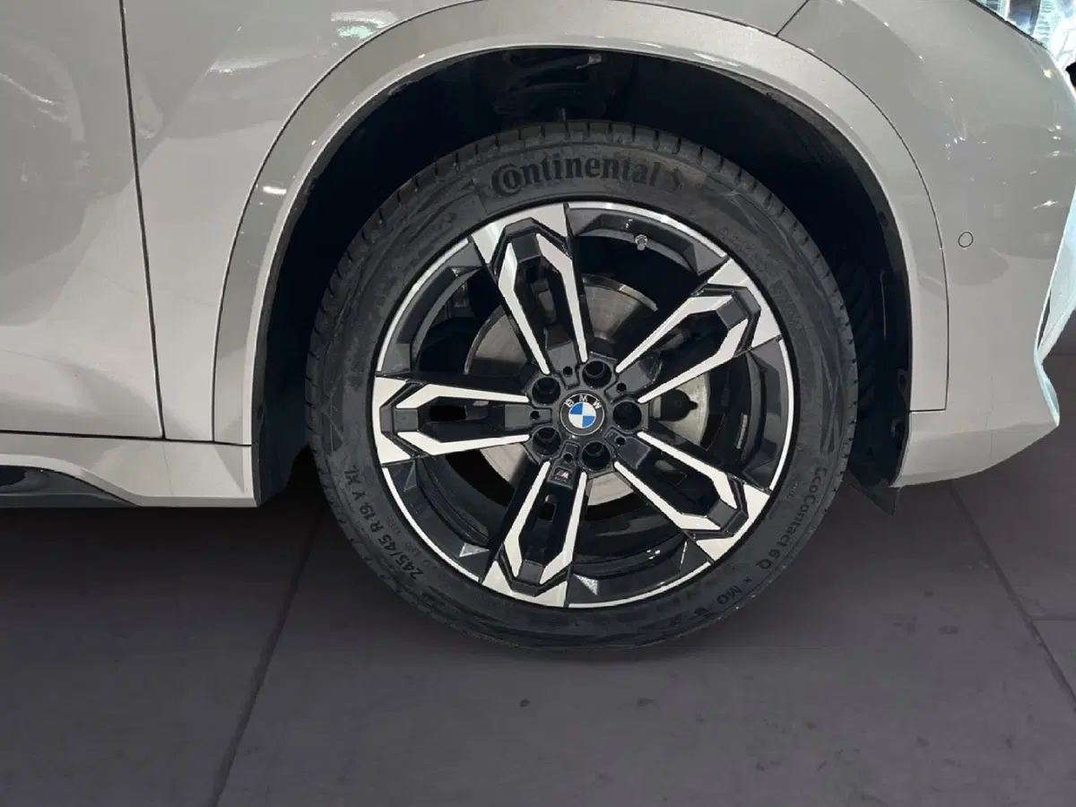 BMW X1 usata a Torino (6)