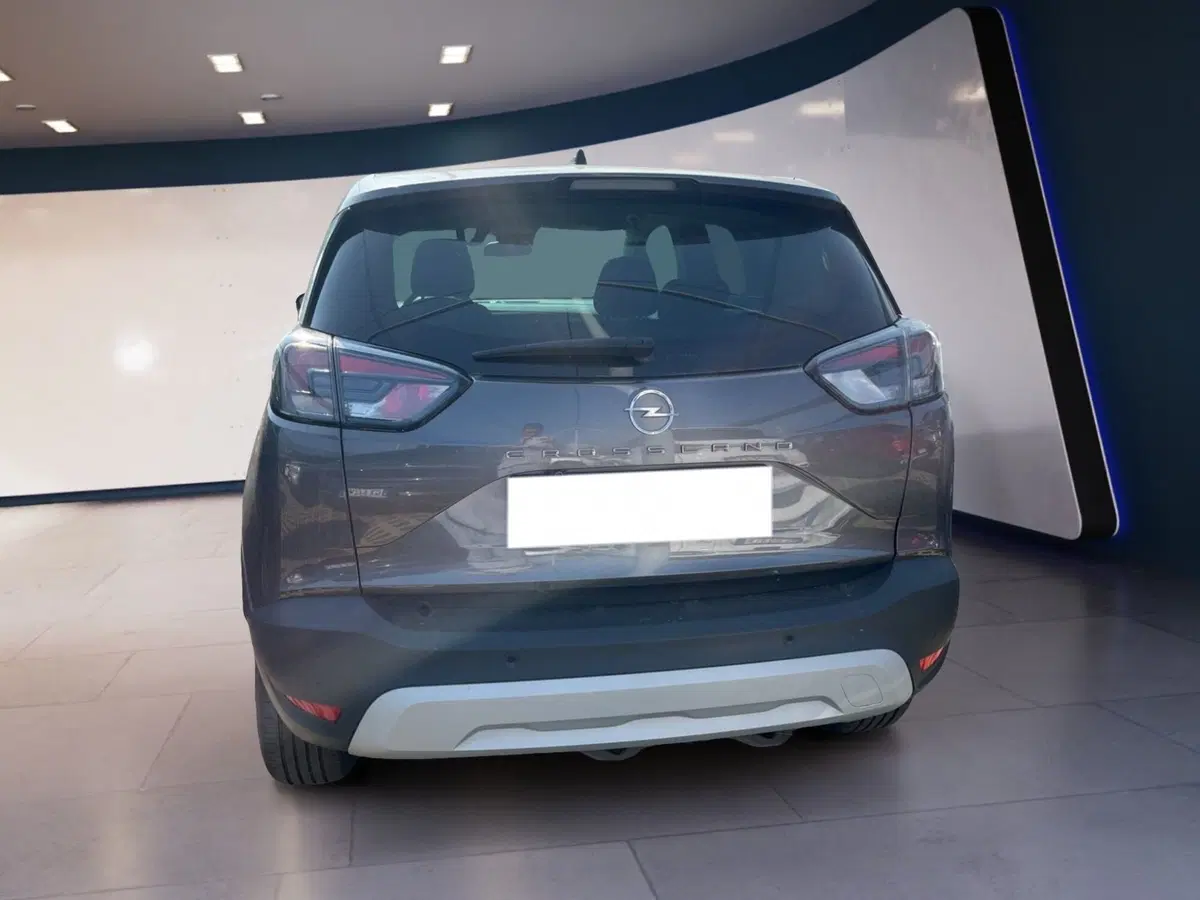 Opel Crossland usata a Torino (6)