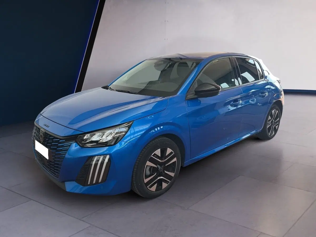 Peugeot 208 usata a Torino (2)