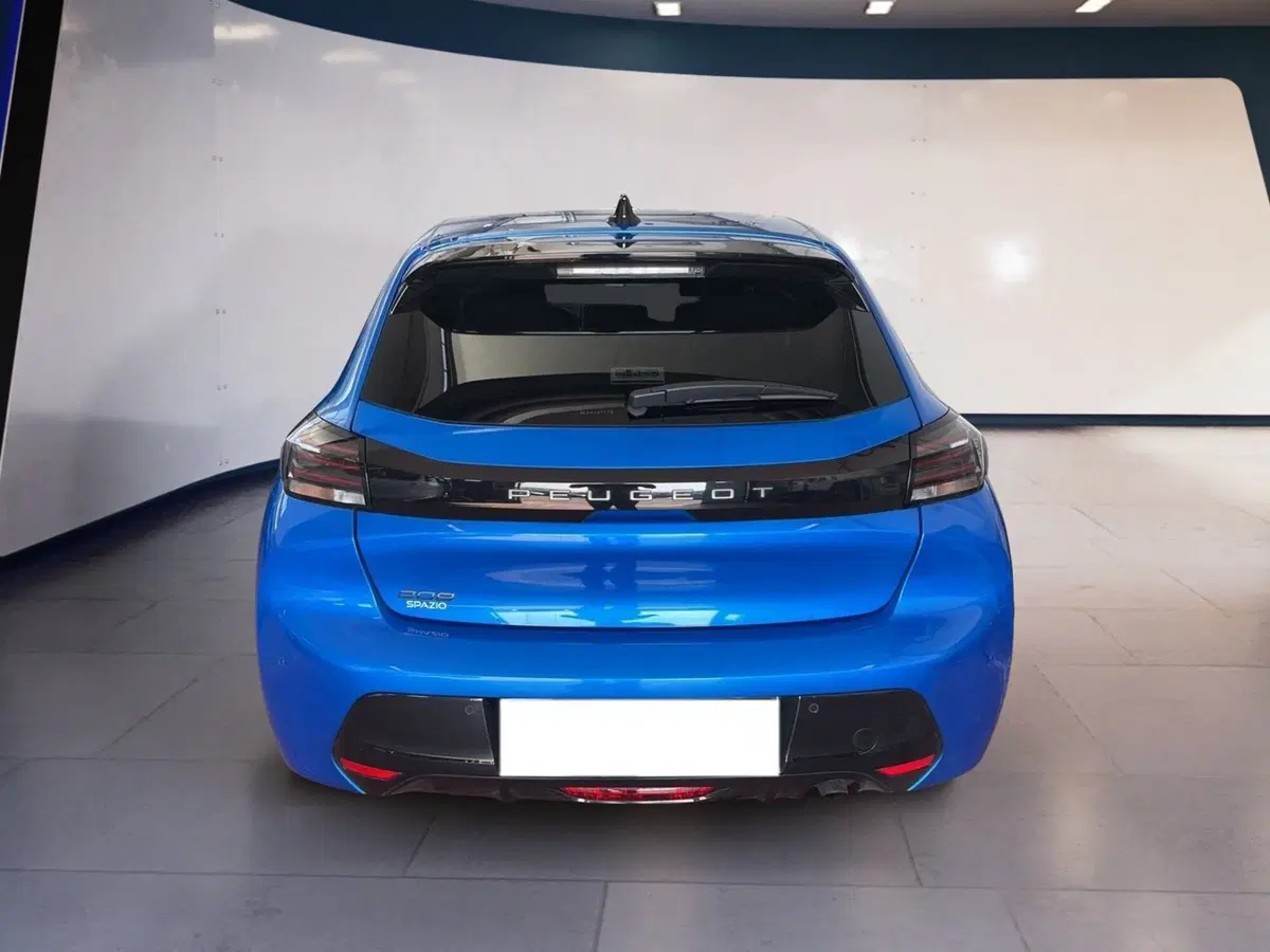 Peugeot 208 usata a Torino (5)