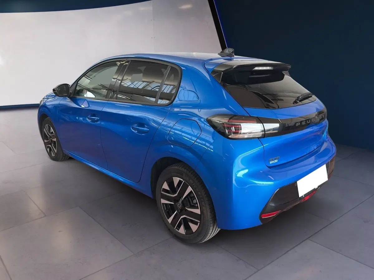 Peugeot 208 usata a Torino (6)