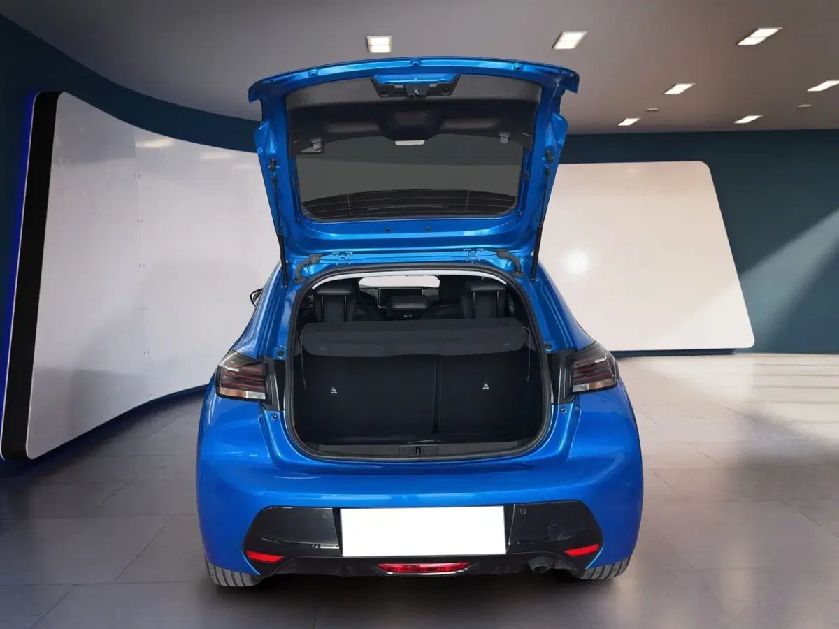 Peugeot 208 usata a Torino (8)