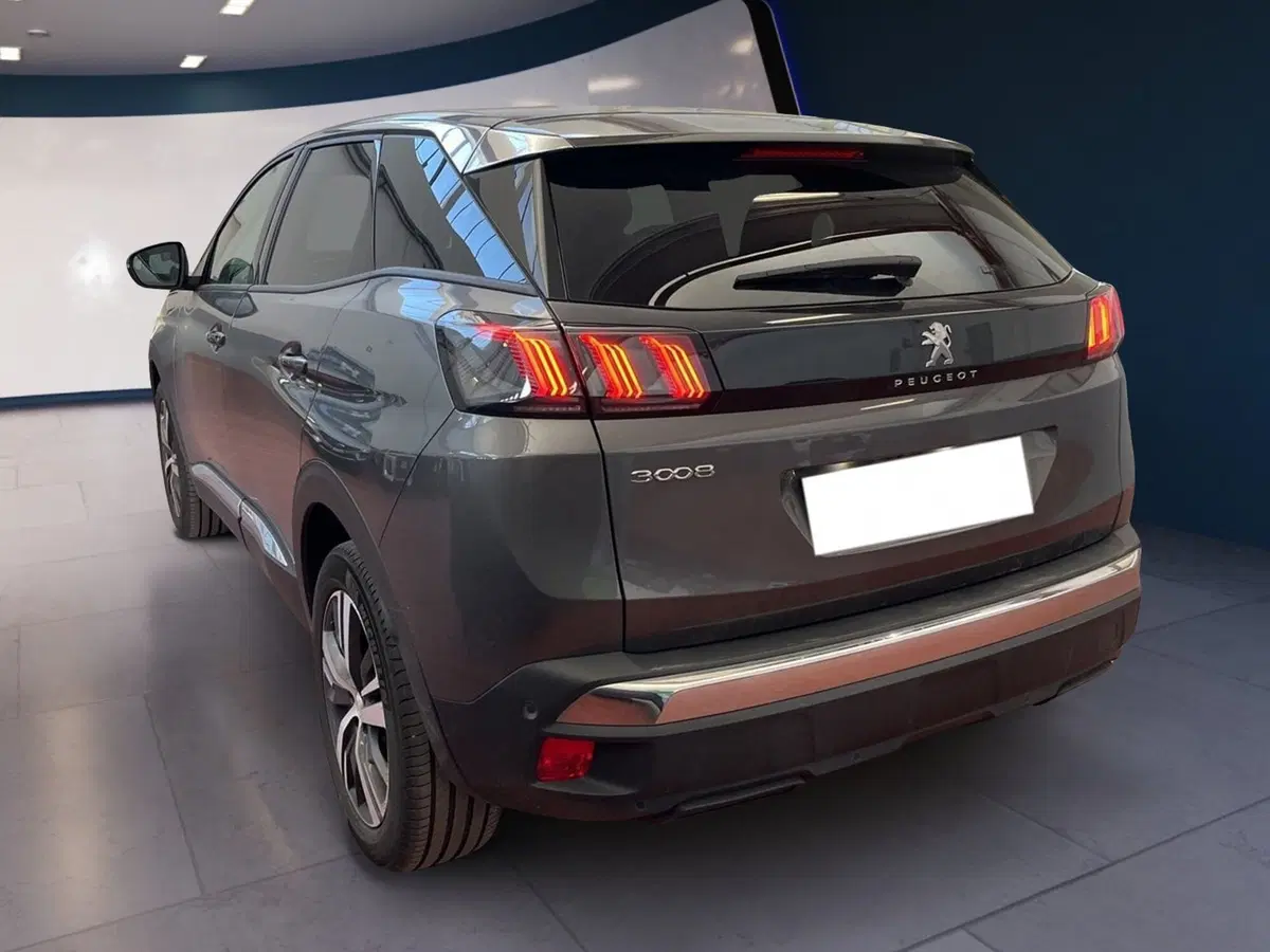 Peugeot 3008 usata a Torino (4)