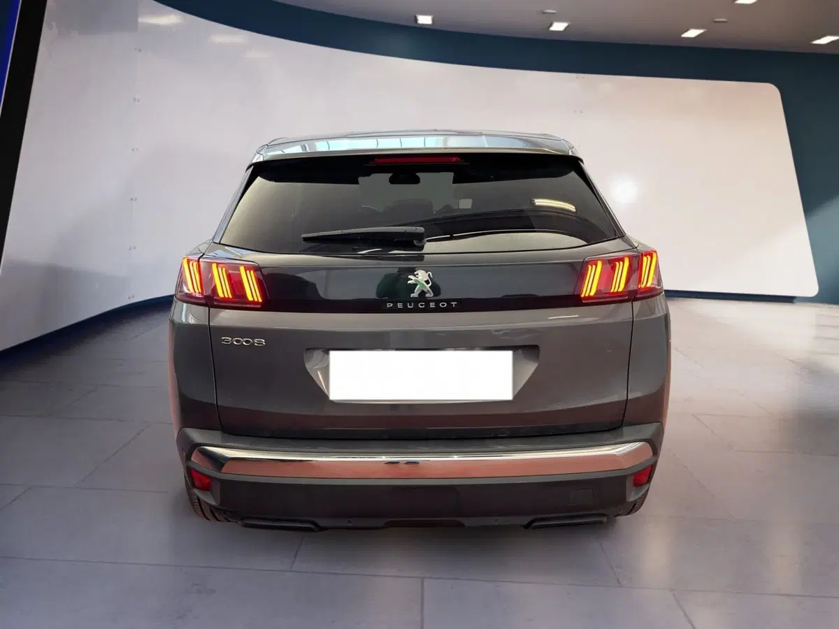 Peugeot 3008 usata a Torino (5)
