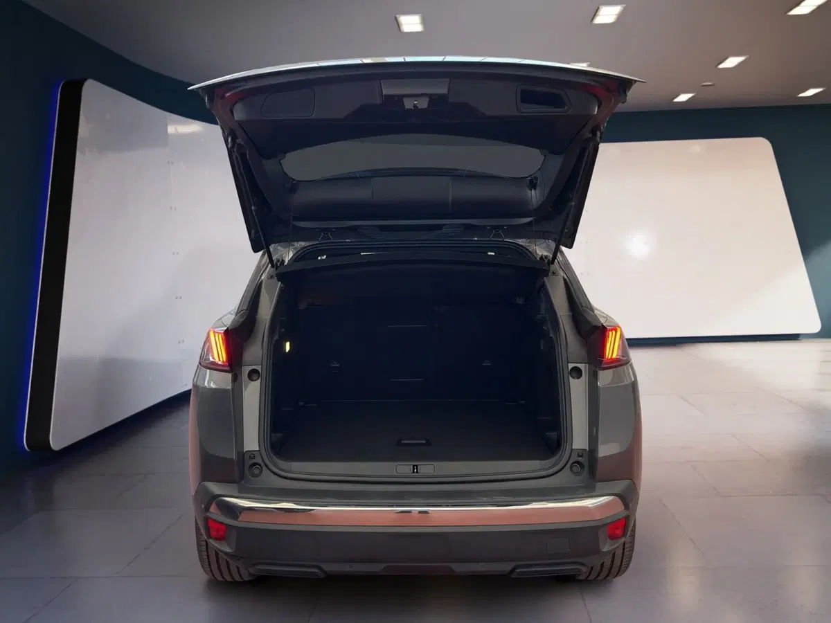 Peugeot 3008 usata a Torino (8)