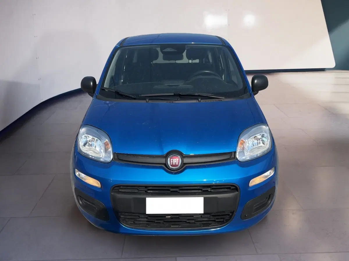 Fiat Pandina usata a Torino