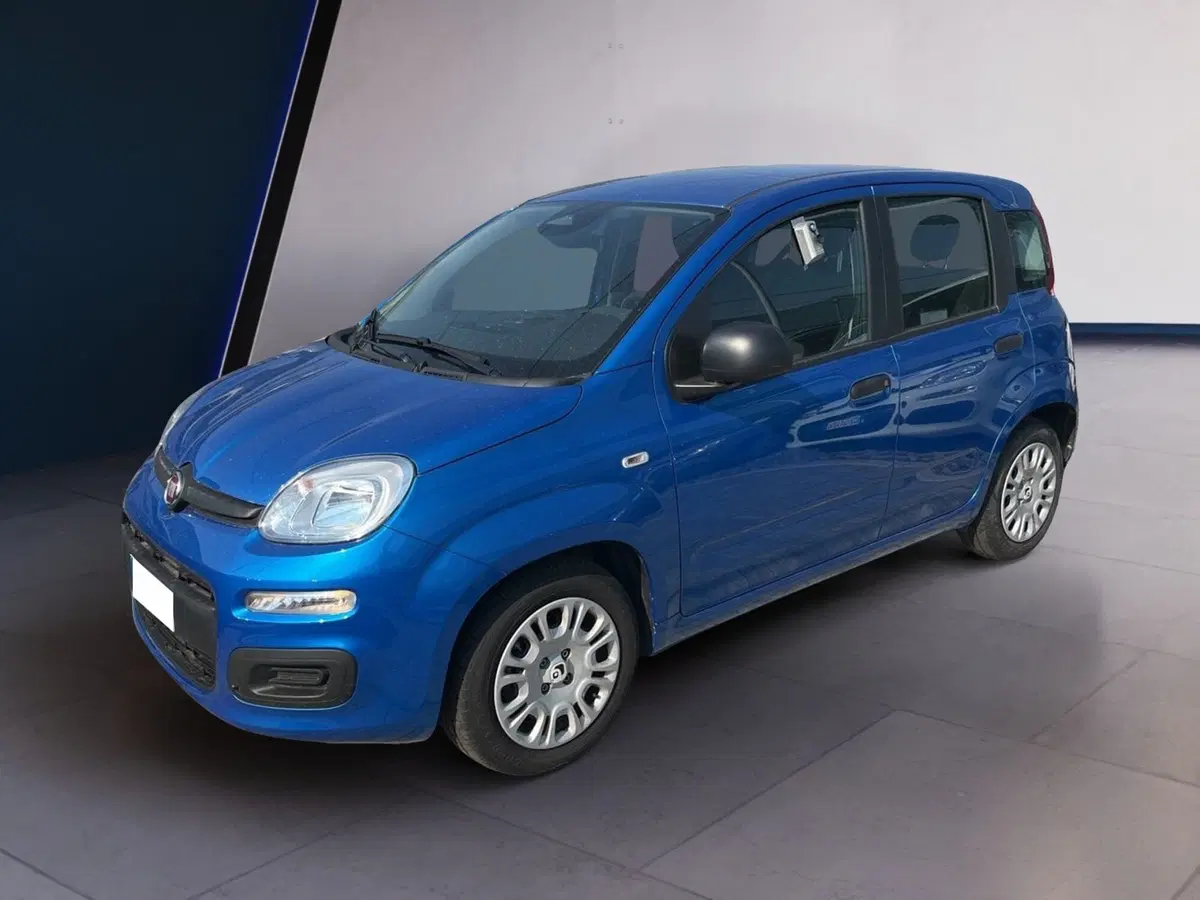Fiat Pandina usata a Torino (2)