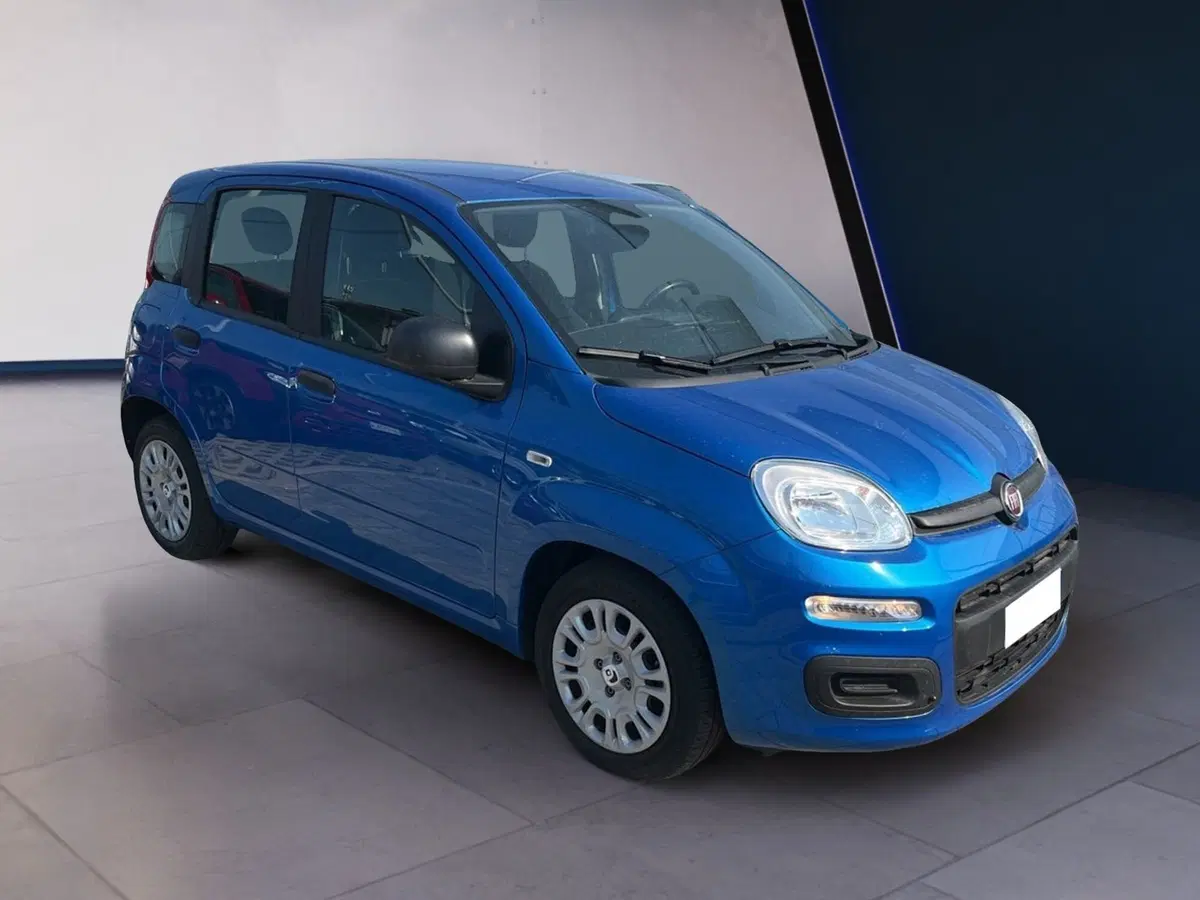 Fiat Pandina usata a Torino (3)