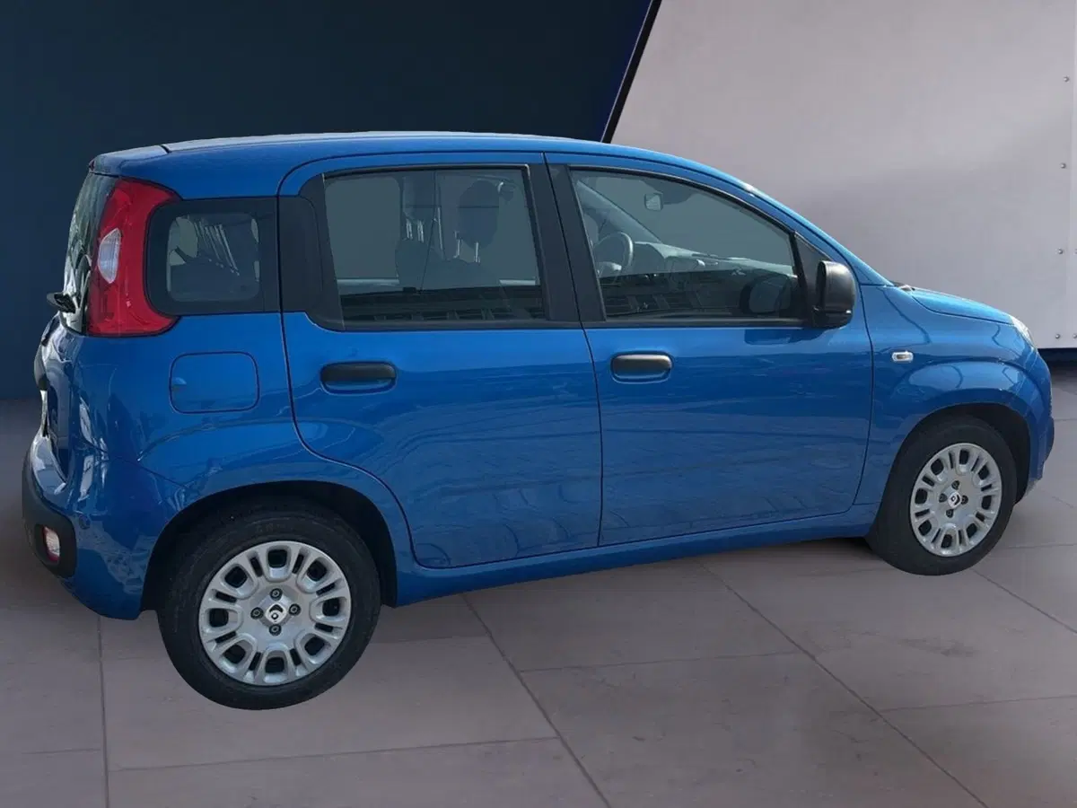 Fiat Pandina usata a Torino (4)