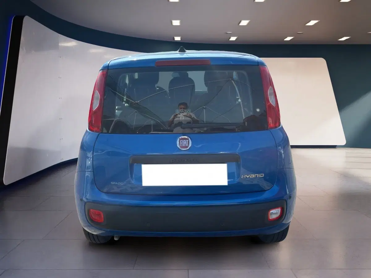 Fiat Pandina usata a Torino (5)
