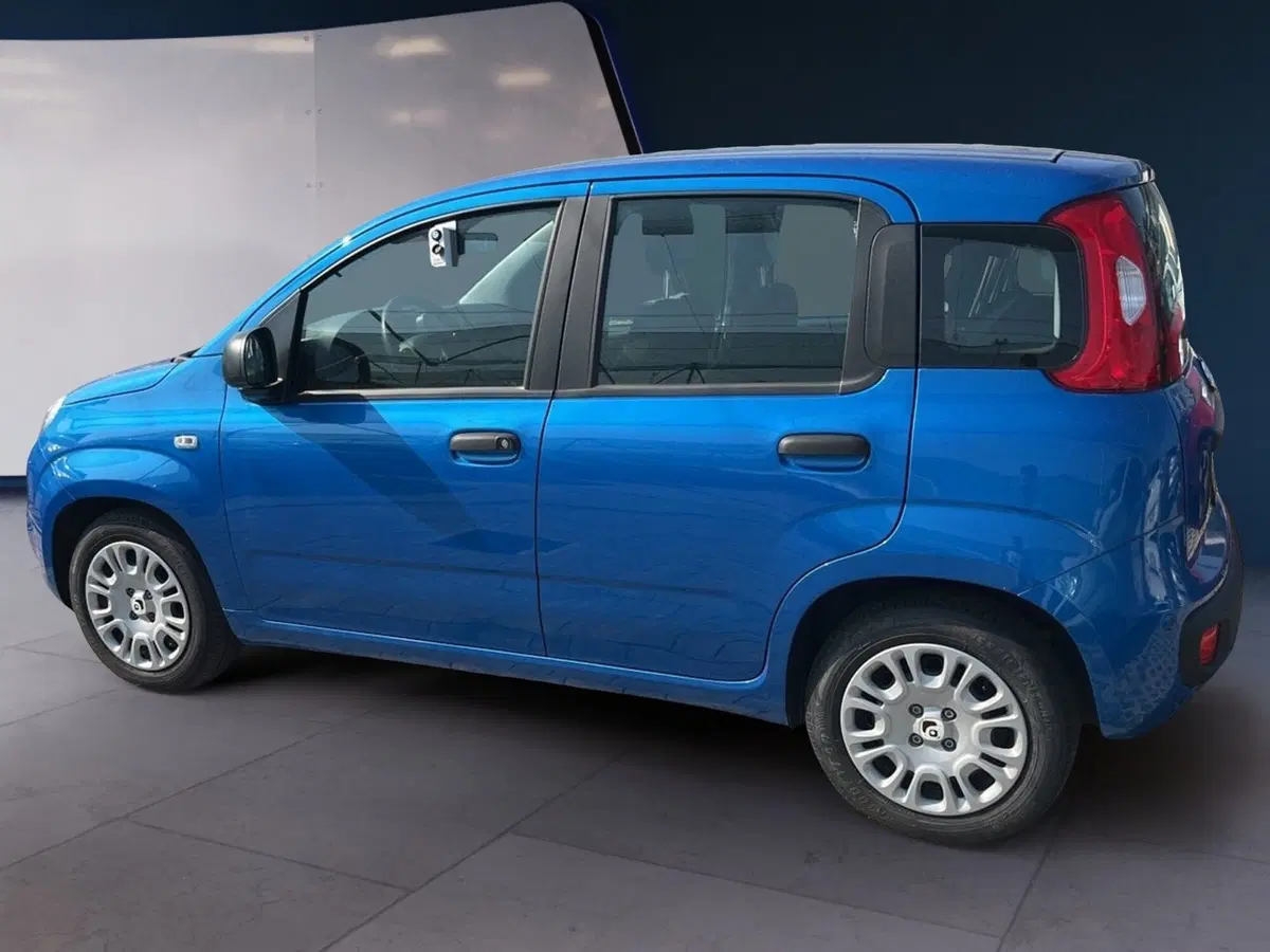 Fiat Pandina usata a Torino (6)