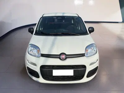 Fiat Pandina 1.0 firefly hybrid s&amp;s 70cv del 2025 usata a Torino