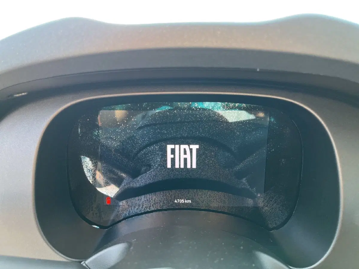 Fiat Pandina usata a Torino (12)
