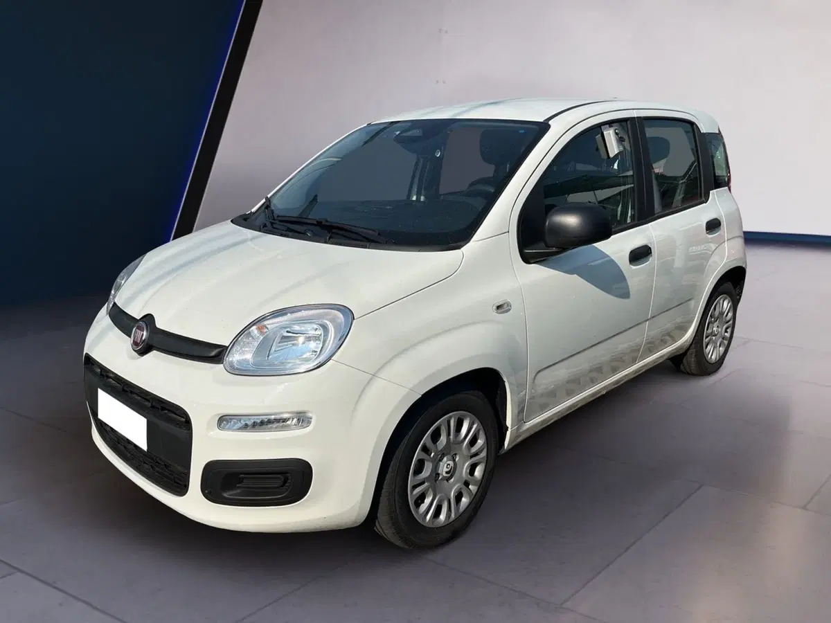 Fiat Pandina usata a Torino (2)