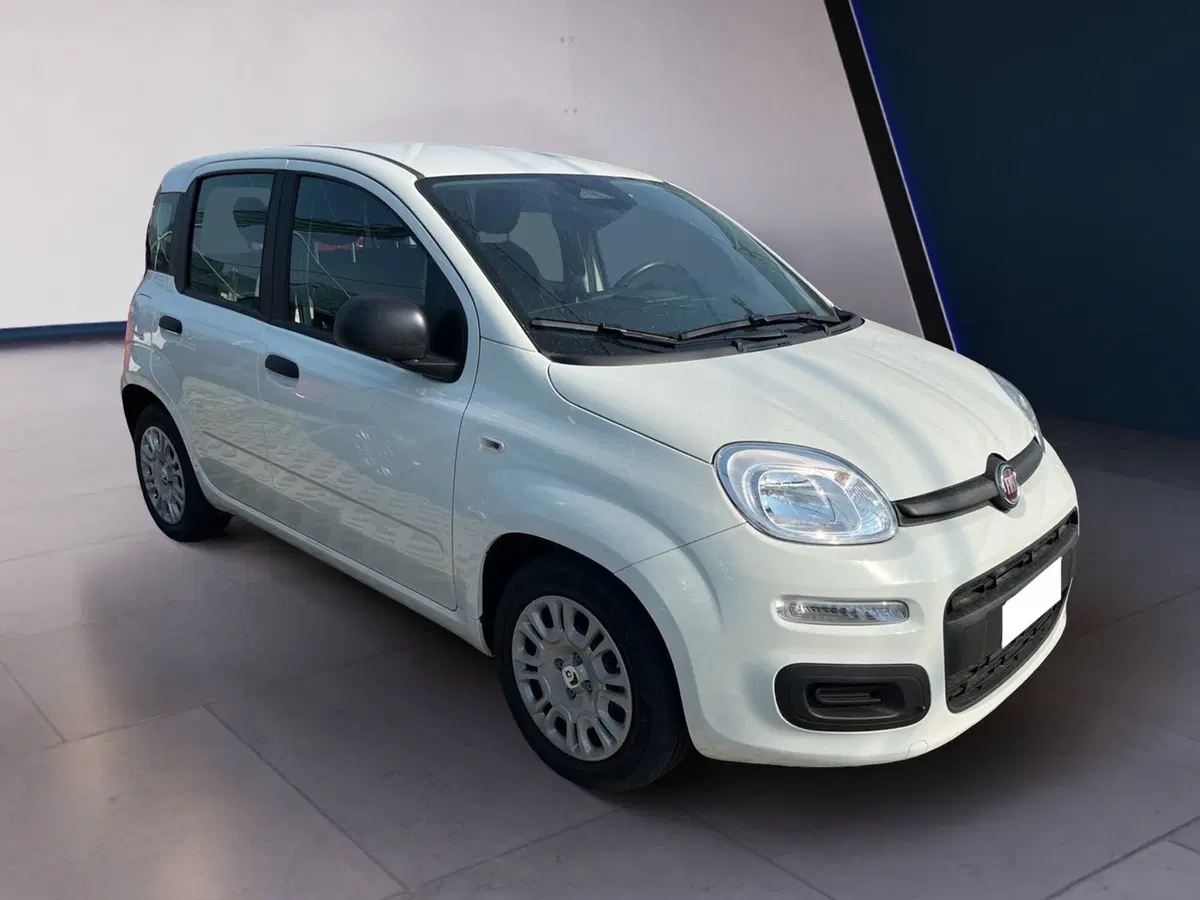 Fiat Pandina usata a Torino (3)