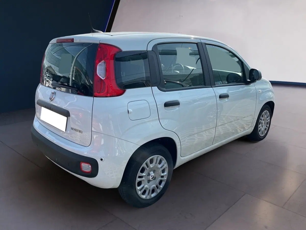 Fiat Pandina usata a Torino (4)