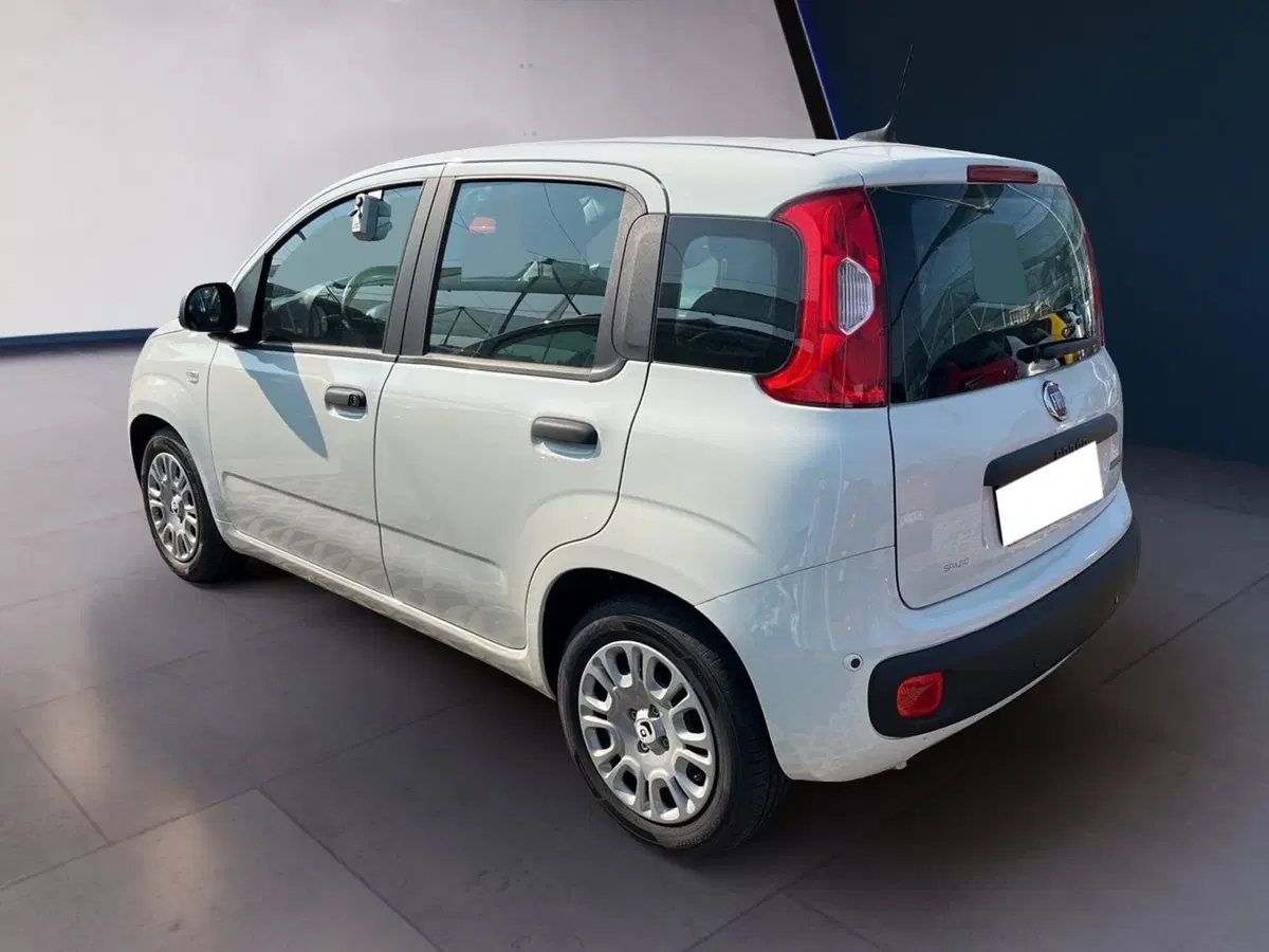 Fiat Pandina usata a Torino (6)