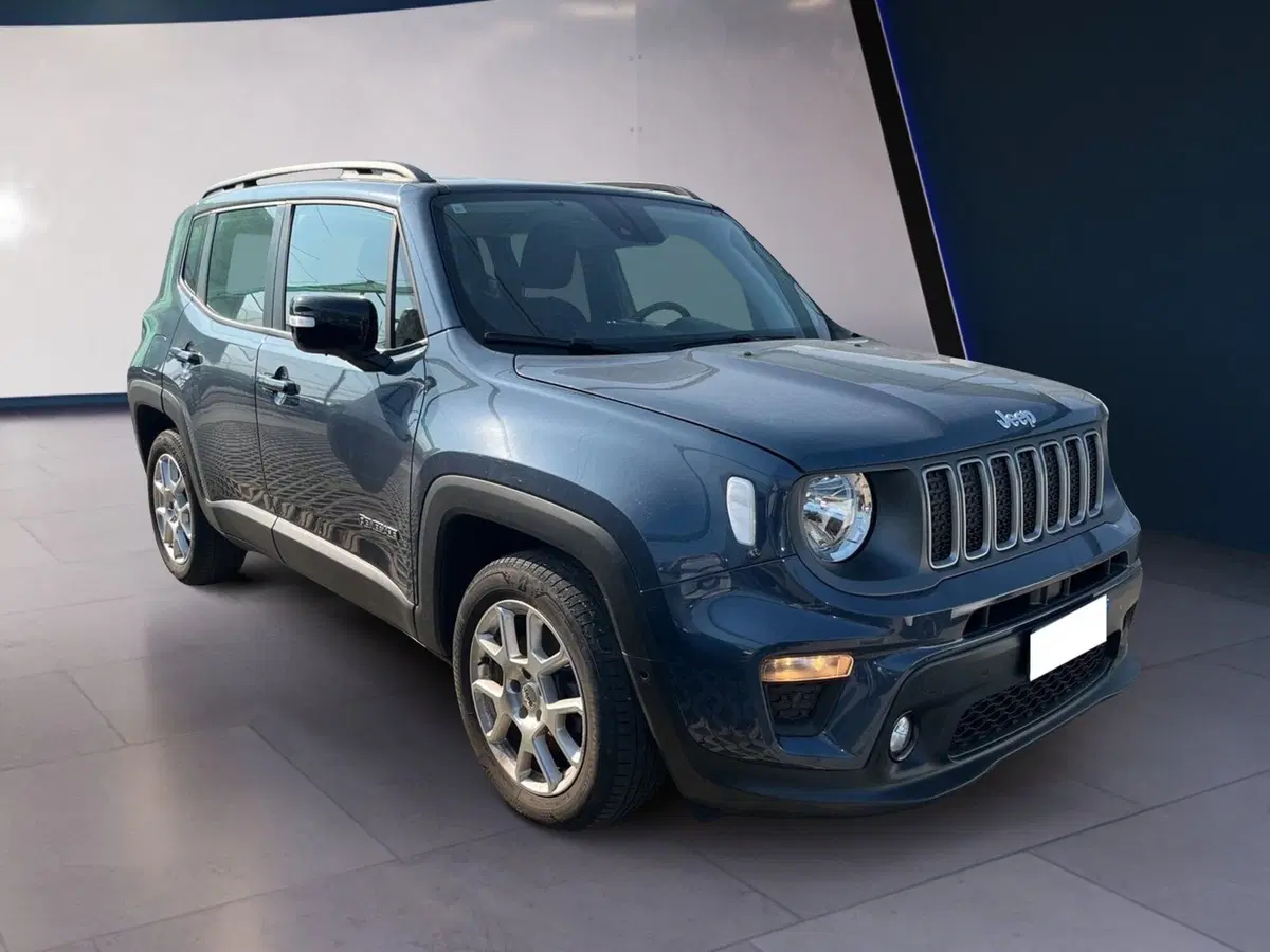 Jeep Renegade usata a Torino (2)