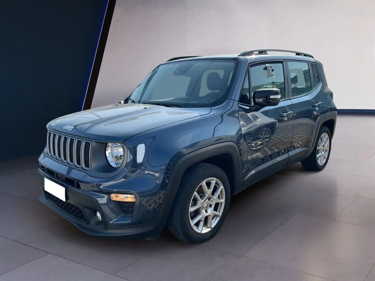 Jeep Renegade usata a Torino (3)