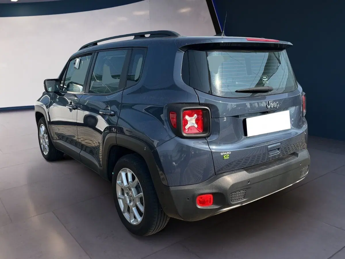 Jeep Renegade usata a Torino (4)