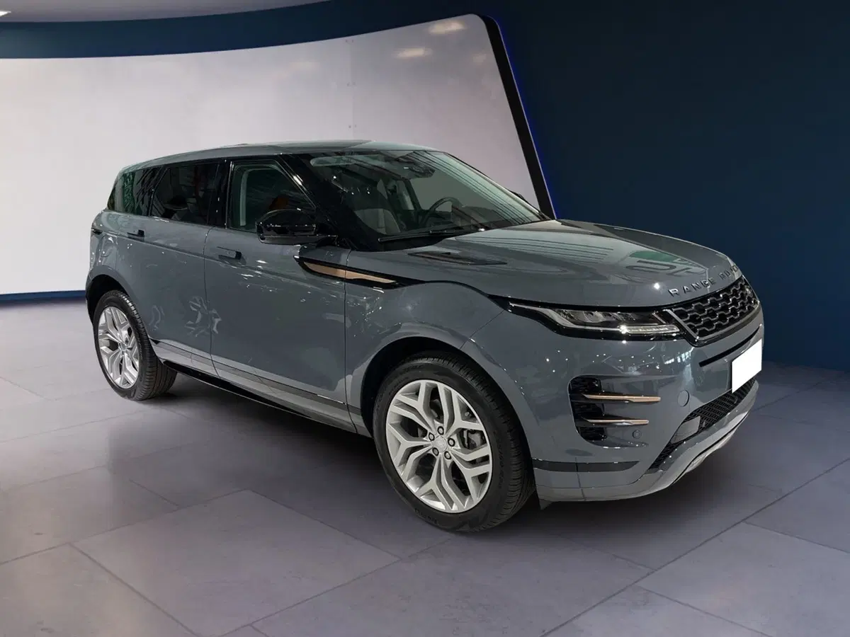 Land Rover Range Rover Evoque usata a Torino (2)