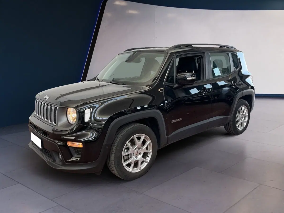 Jeep Renegade usata a Torino (2)