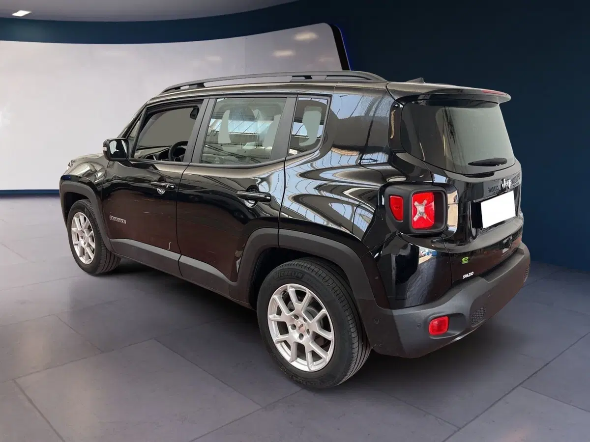 Jeep Renegade usata a Torino (6)