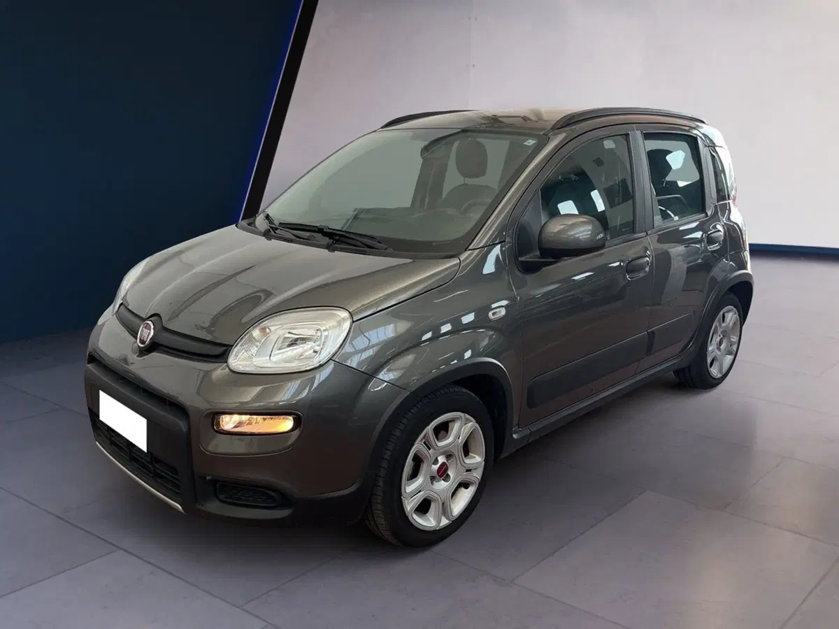 Fiat Panda usata a Torino (2)
