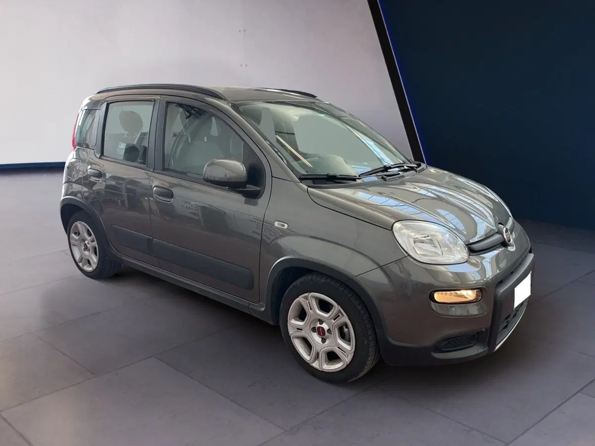 Fiat Panda usata a Torino (3)