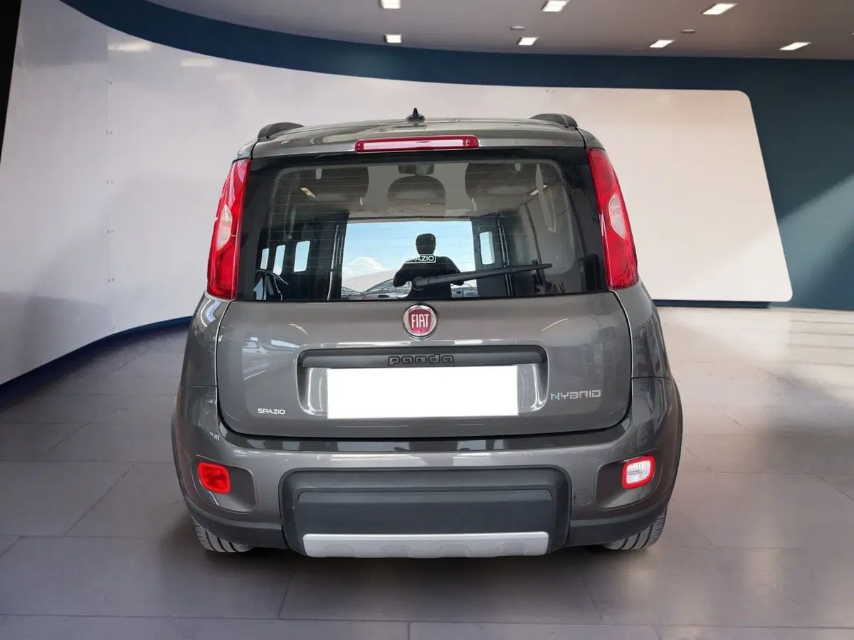 Fiat Panda usata a Torino (5)