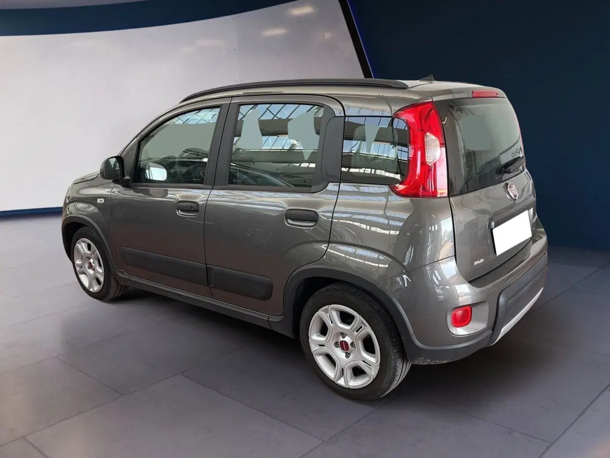 Fiat Panda usata a Torino (6)