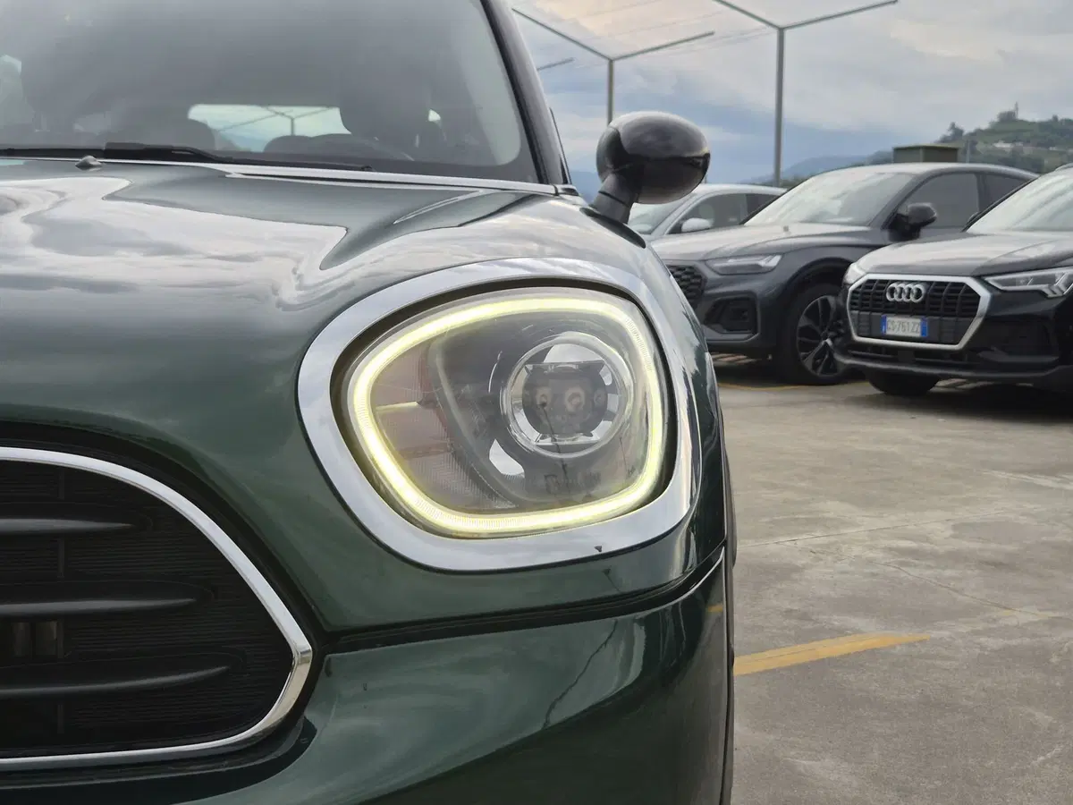 MINI Mini Countryman usata  (18)