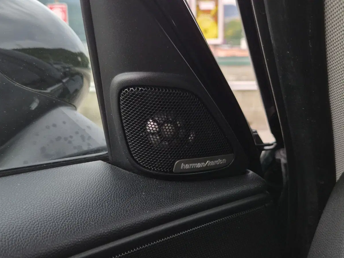 MINI Mini Countryman usata  (20)