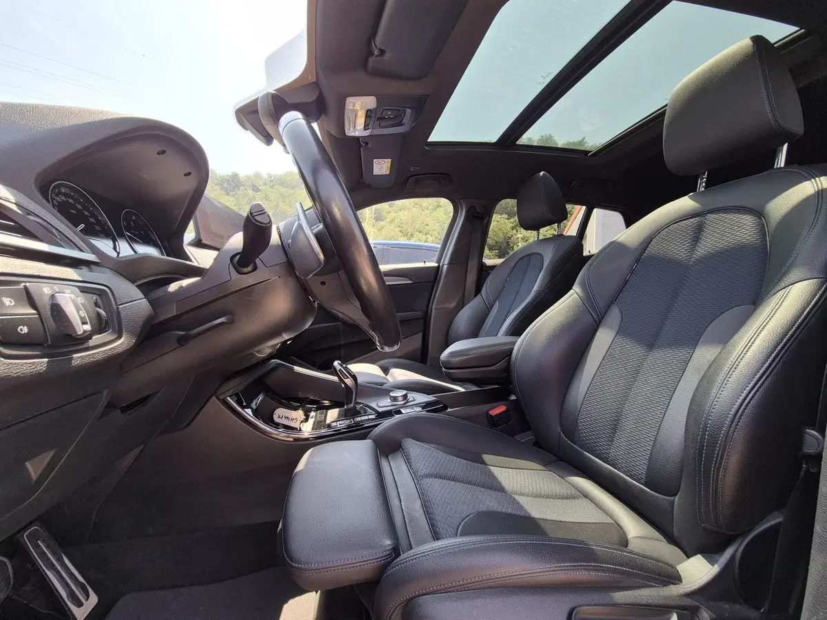 BMW X2 usata  (20)