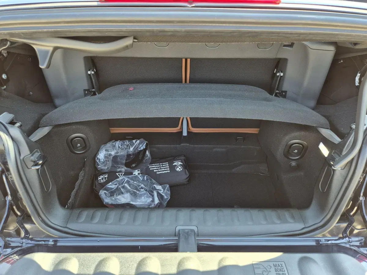 MINI Mini Cabrio usata  (12)