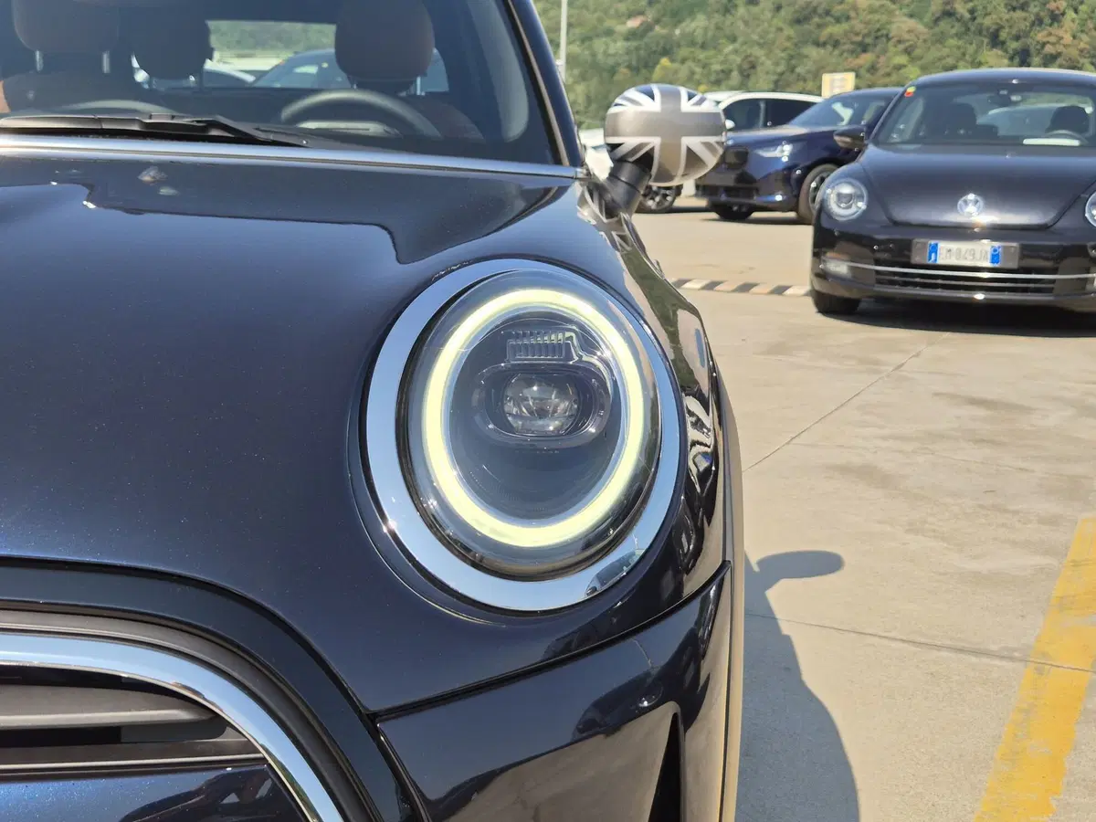 MINI Mini Cabrio usata  (16)