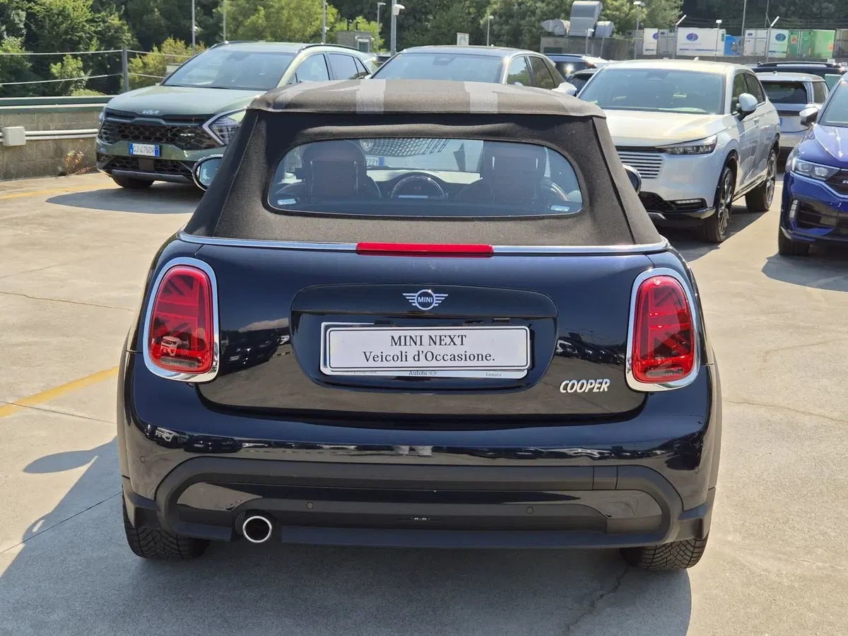 MINI Mini Cabrio usata  (3)
