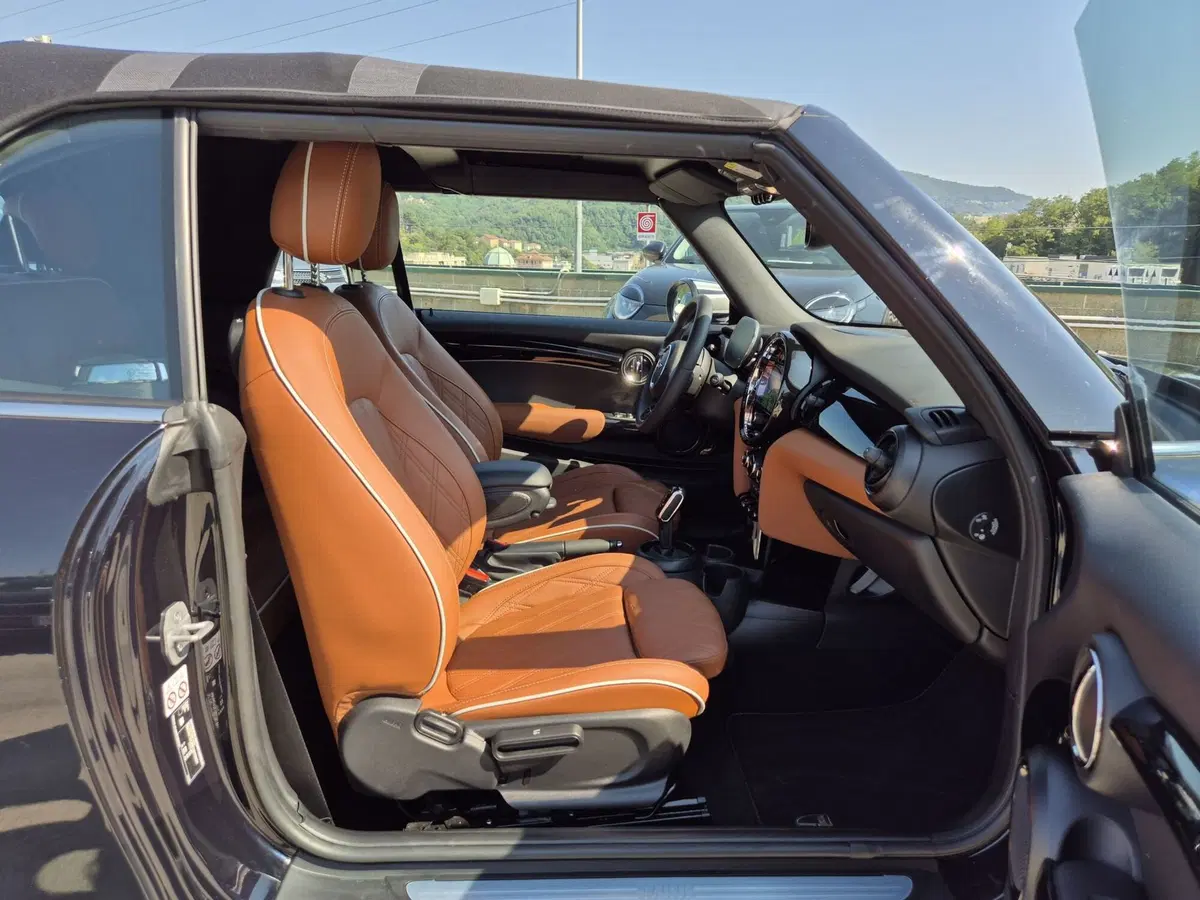 MINI Mini Cabrio usata  (9)