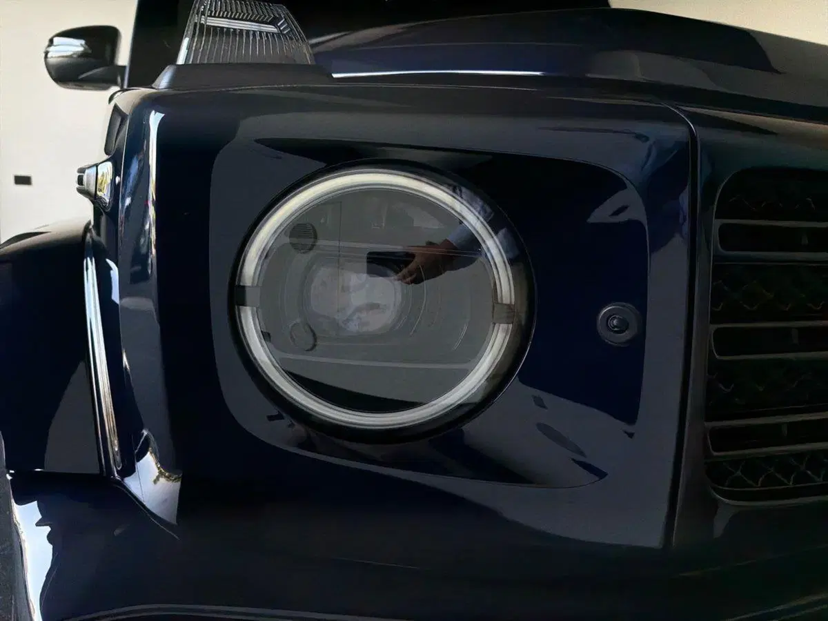 Mercedes-Benz Classe G usata a Bergamo (7)