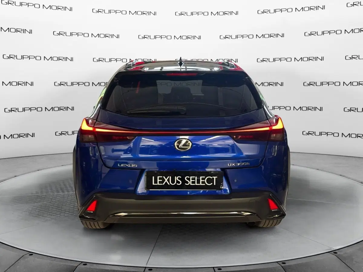 Lexus UX usata a Bologna (4)