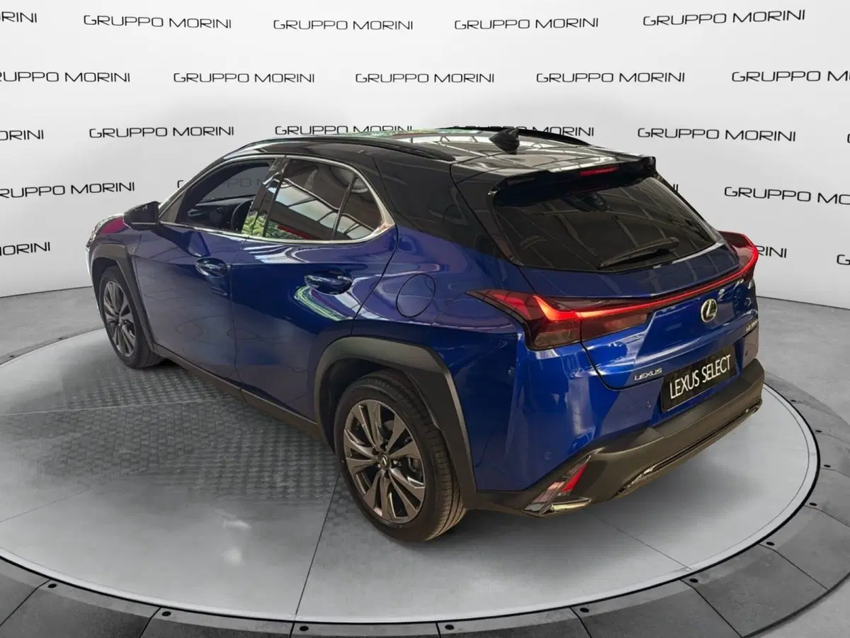 Lexus UX usata a Bologna (5)