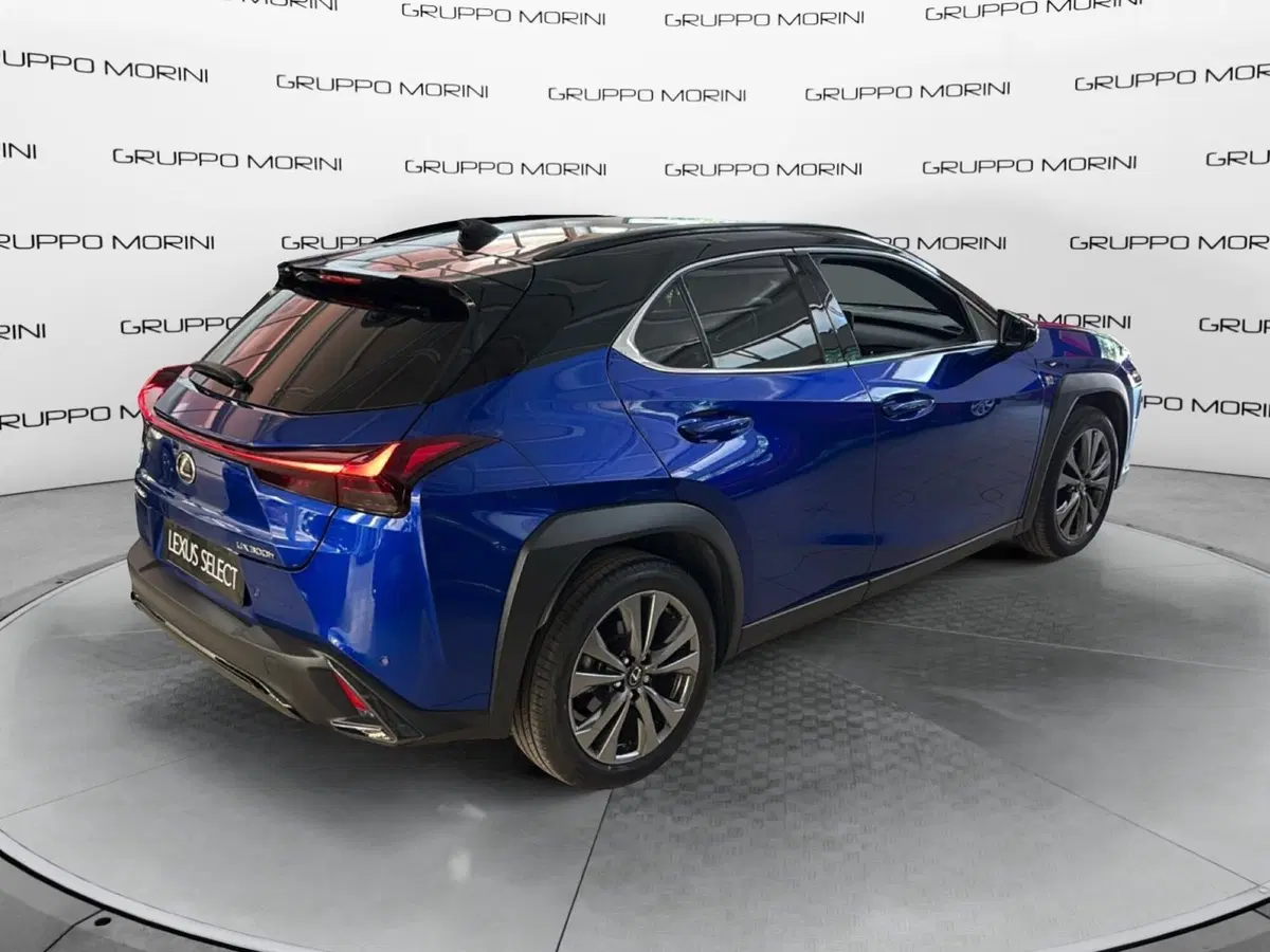 Lexus UX usata a Bologna (6)