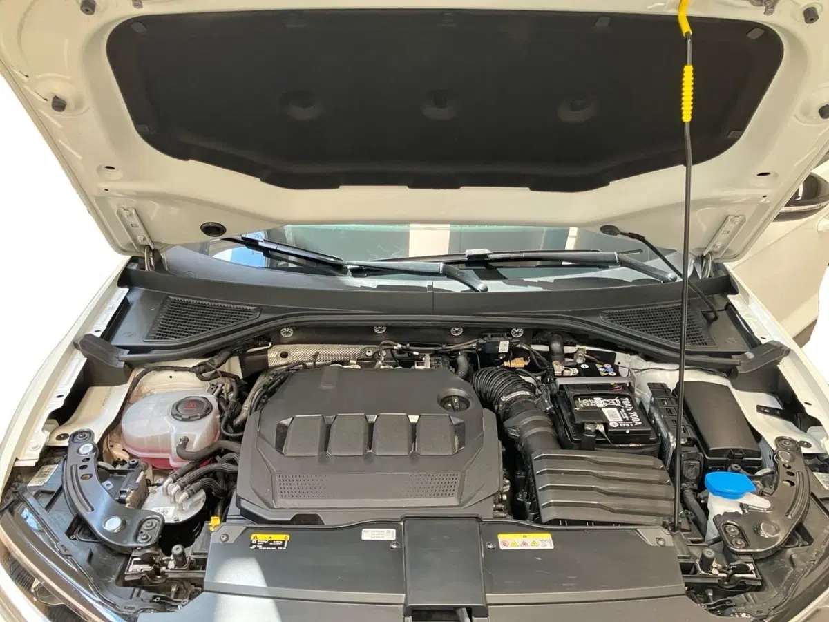 Volkswagen T-Roc usata a Bologna (11)