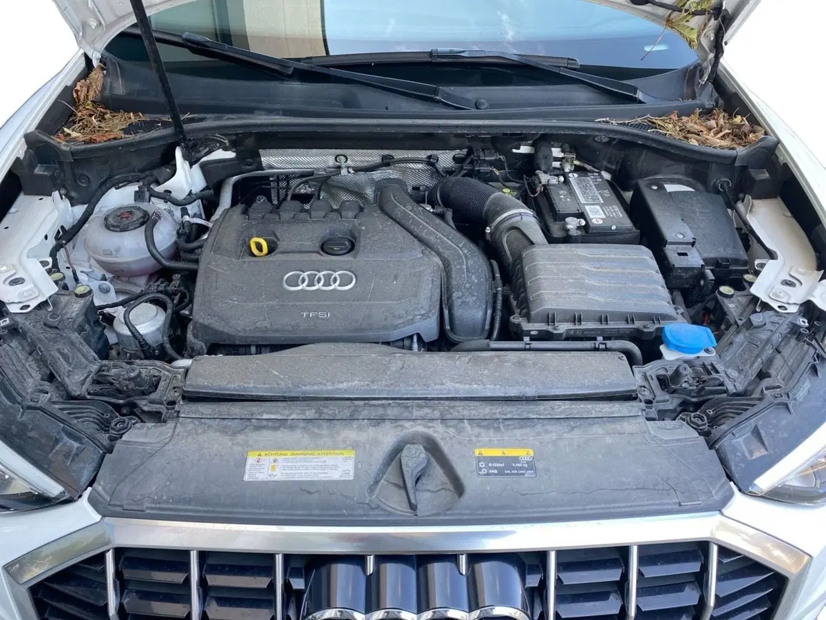 Audi Q3 usata a Bologna (12)