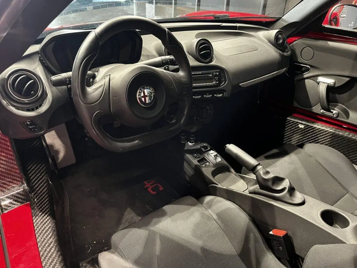 Alfa Romeo 4C Coupé usata a Sondrio (10)