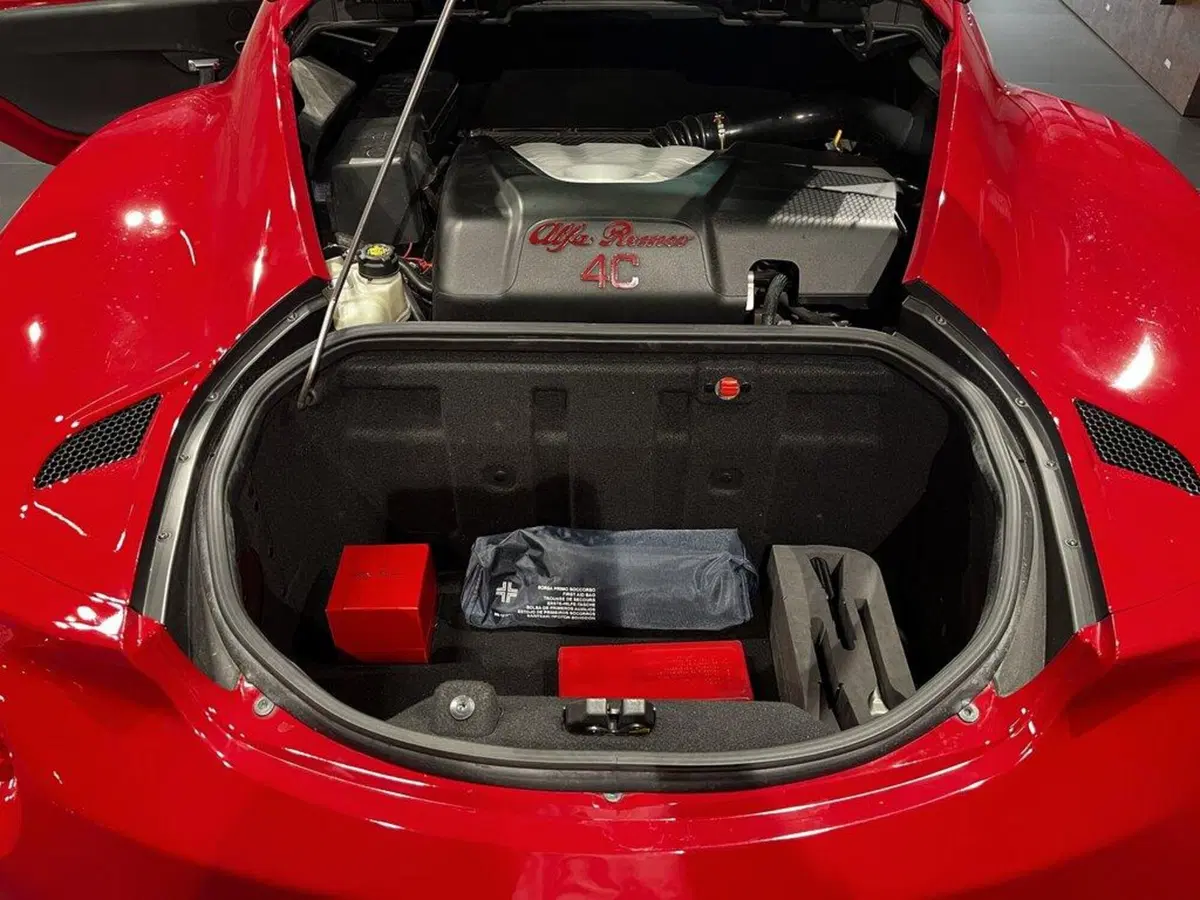 Alfa Romeo 4C Coupé usata a Sondrio (12)