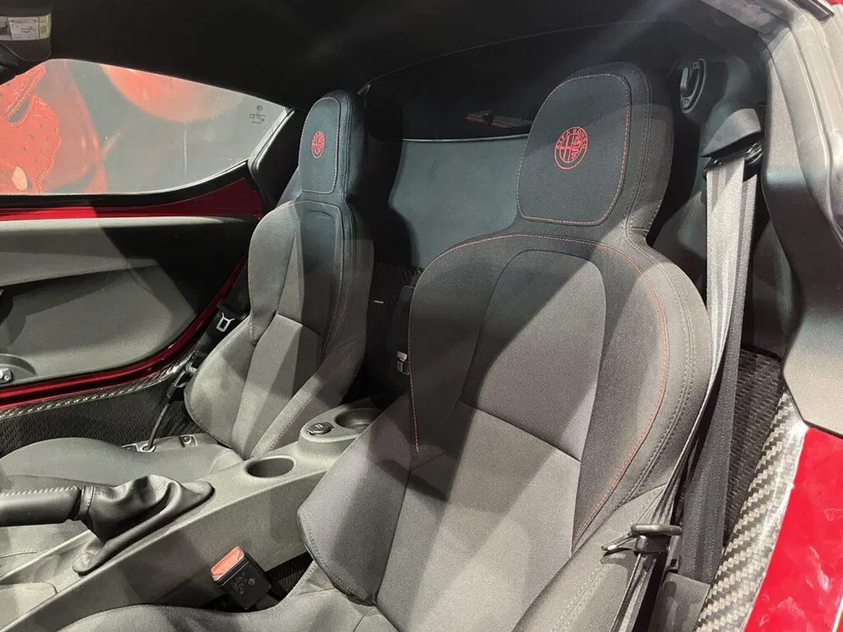 Alfa Romeo 4C Coupé usata a Sondrio (14)