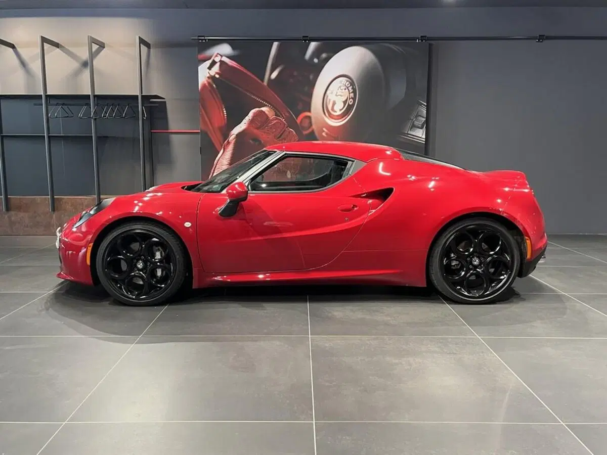 Alfa Romeo 4C Coupé usata a Sondrio (2)